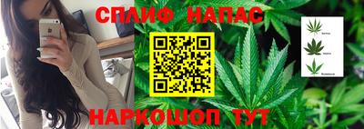 спайс Бузулук