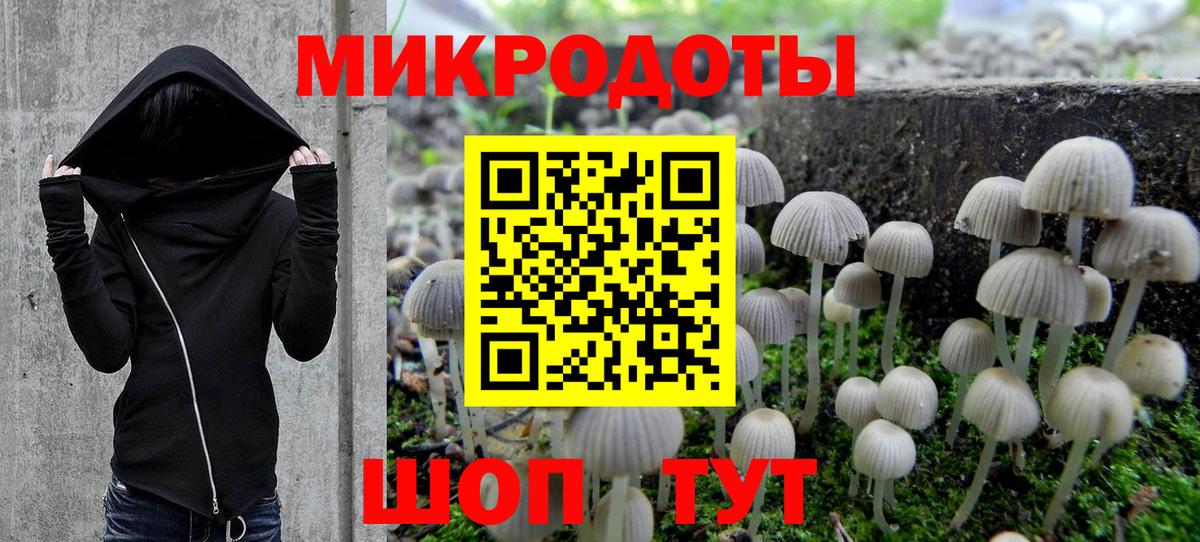 купить закладку  Вход с VPN  Старая Русса  Галлюциногенные грибы Cubensis 
